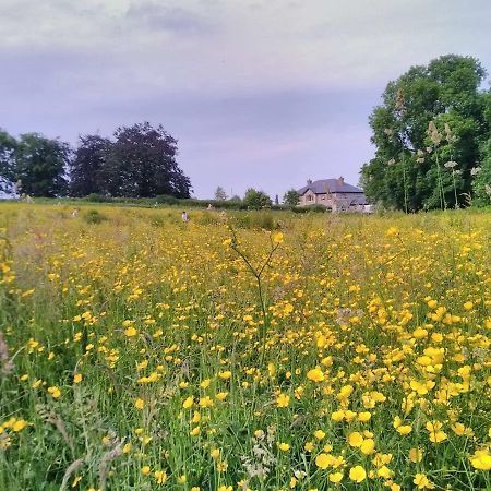 Castletownmoor Clinic & Permaculture Farm Hotell Kells  Exteriör bild