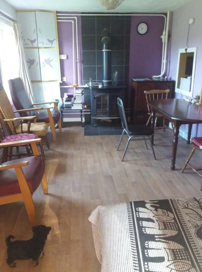Castletownmoor Clinic & Permaculture Farm Hotell Kells  Exteriör bild