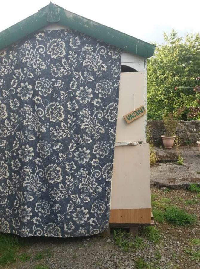 Castletownmoor Clinic & Permaculture Farm Hotell Kells  Exteriör bild