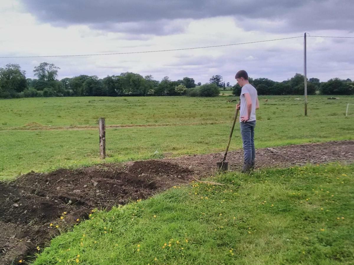 Castletownmoor Clinic & Permaculture Farm Hotell Kells  Exteriör bild